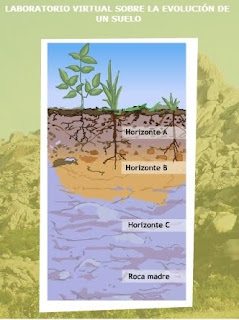  evolución del suelo