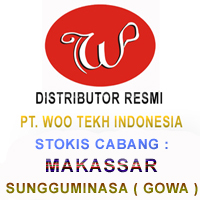 Pencernaan Kurang Lancar WOO TEKH
