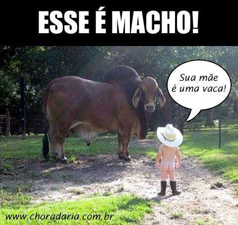 Music from the smash hit dance spectacular - Spirit of the