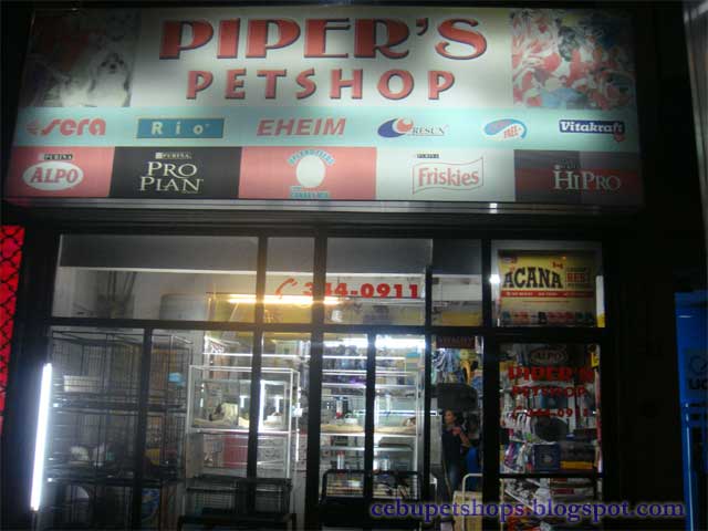 type of small breed dogs