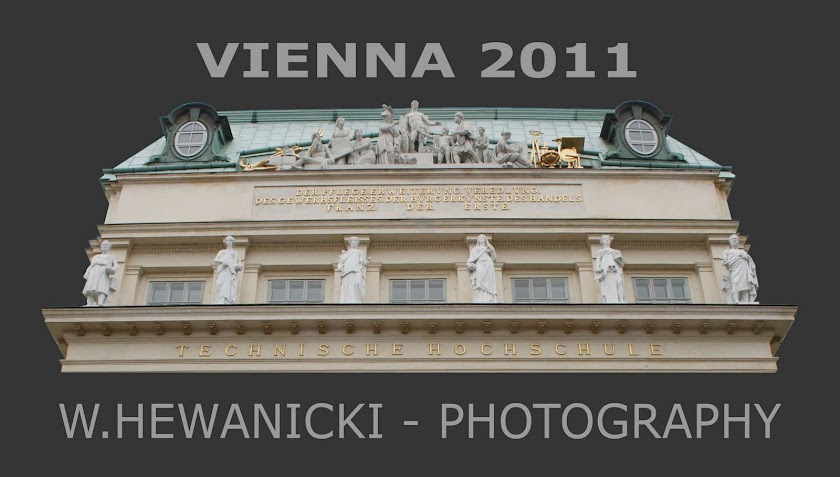 Witek Hewanicki - Vienna 2011 Photography
