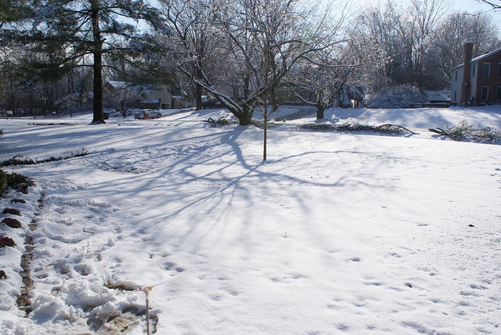 Day By Day Ice and Snow