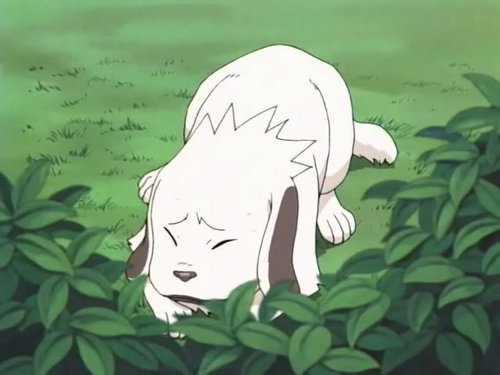 NarutOnline: Akamaru
