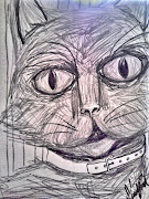 Cat Face Sketch. Here is a cat face sketch in pencil. cat face sketch