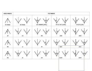 Vaccination Program For Gamefowl