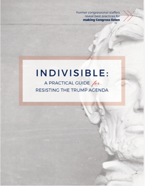 Download the Indivisible Guide