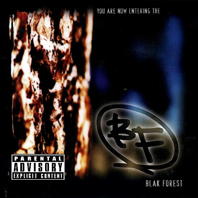 Blak Forest ‎- You Are Now Entering The… Blak Forest (CD) (1997) (FLAC + 320 kbps)