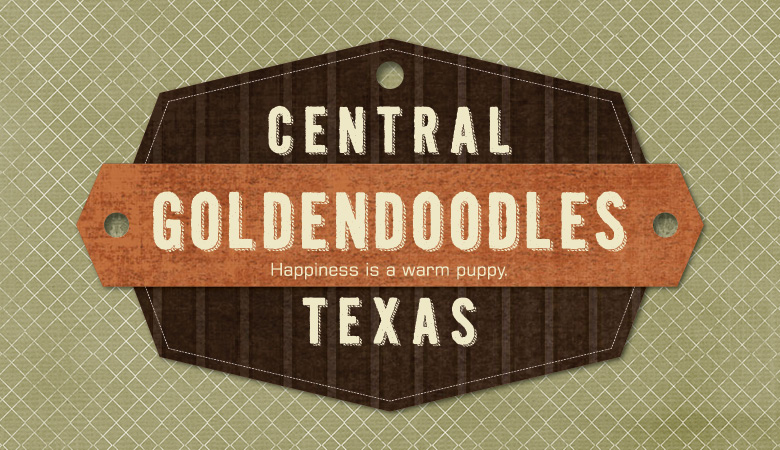 Central Texas Goldendoodles