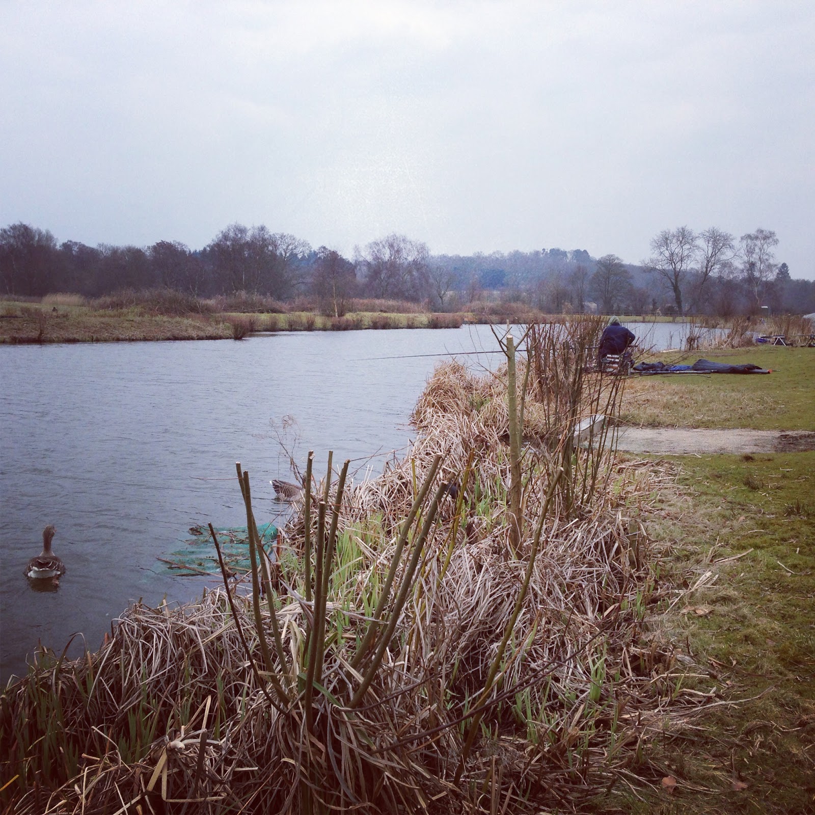 All the Gear, No Idea 01 April 2013, Harris Lake (Marsh Farm)