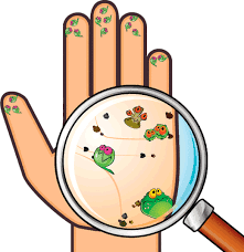 Microrganismos en tus manos