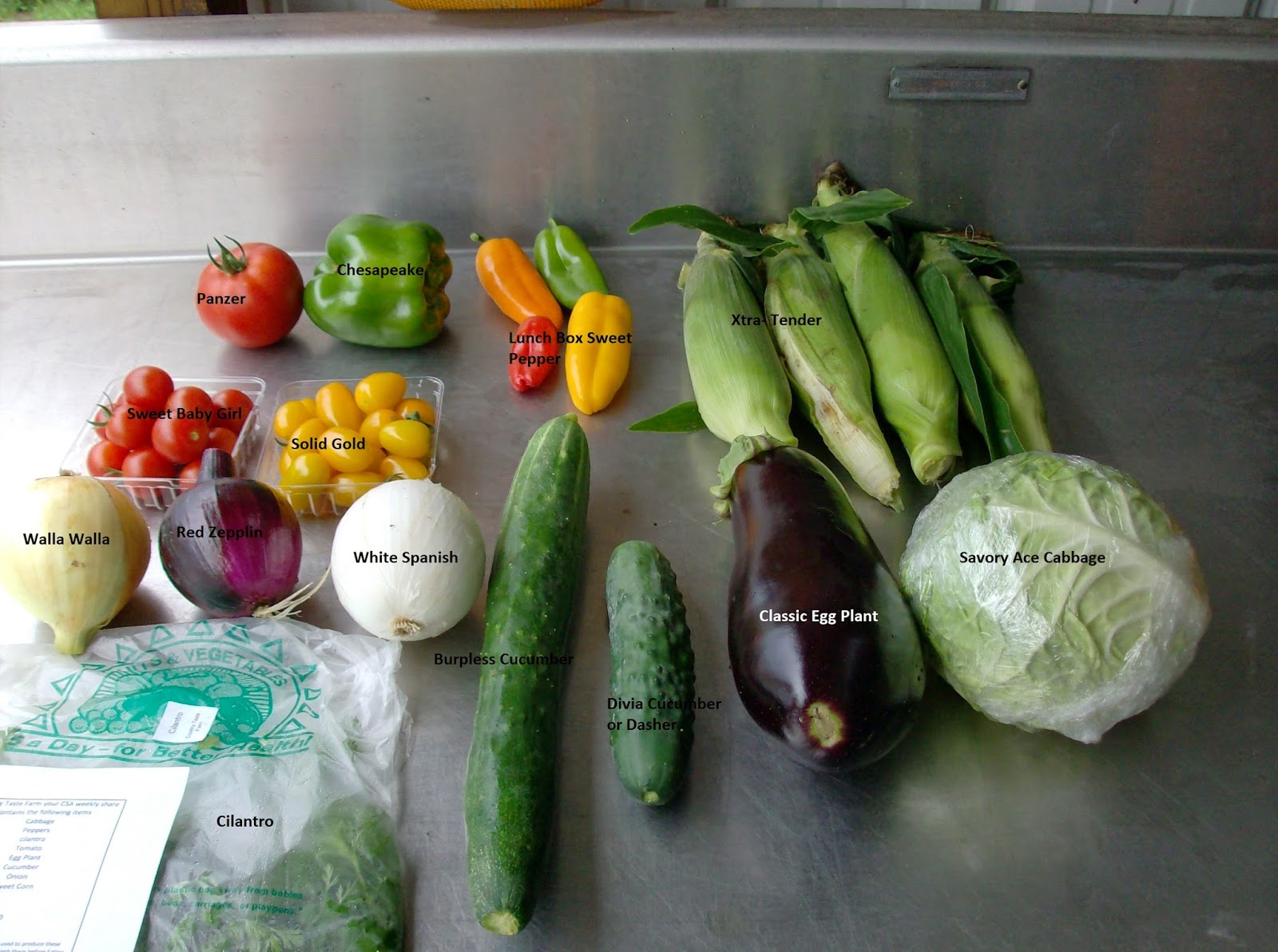 Country Taste Farm : Whats Happen At Country Taste Farm