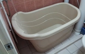 Best Portable Bathtub SG Homes