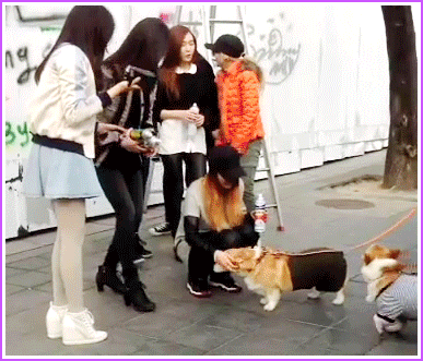 140225-04.gif