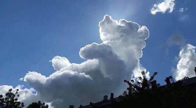 Happy Bear Cloud