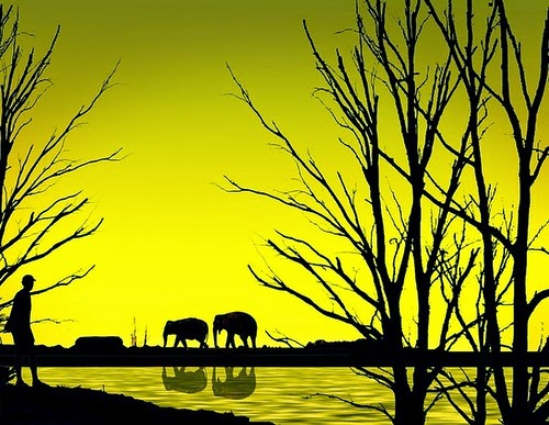 silhouette art photography by Naveed Mughal