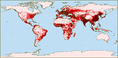 The World's Population Growth Is Shrinking