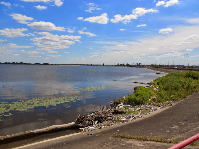 DSCN3933.JPG