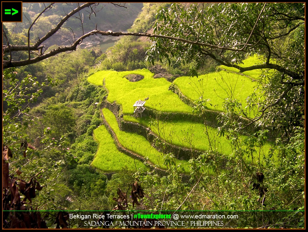 Bekigan Rice Terraces, Sadanga, Mountain Province