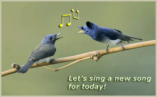 Birds Sing