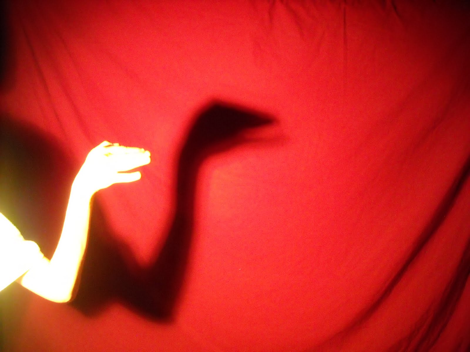 The Random Photograph Hand Shadows