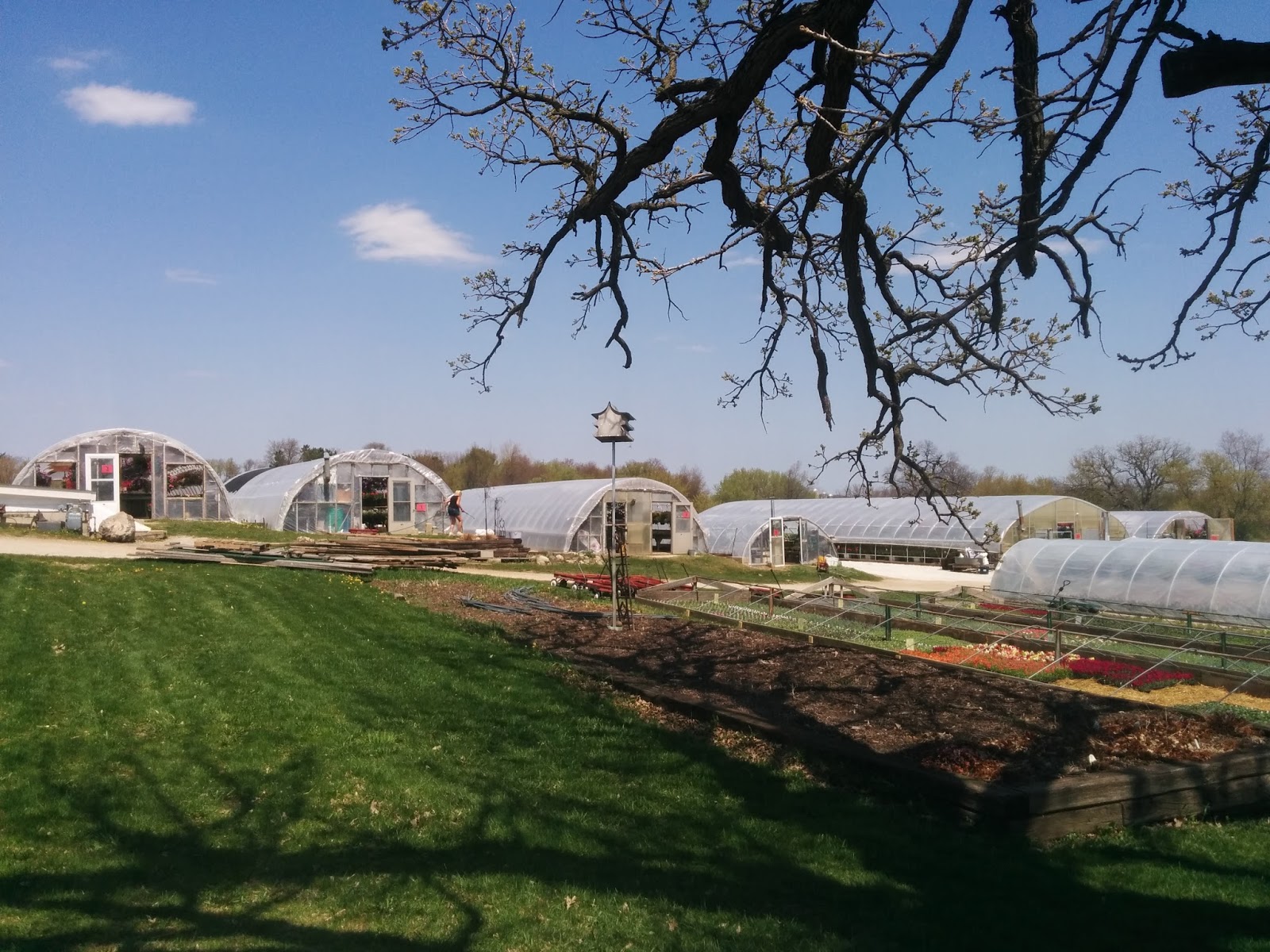 Rebecca S Texas Garden End Of Month View September 2014