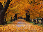 de otoño imagenes paisajes de oto 