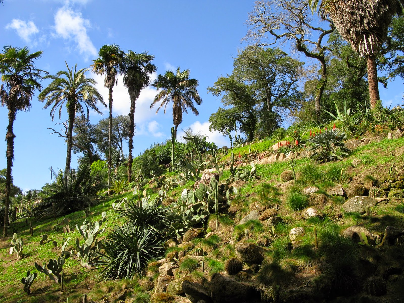 rencontres air climat santé toulouse