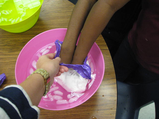 The First Grade Jungle: 100th day and blubber