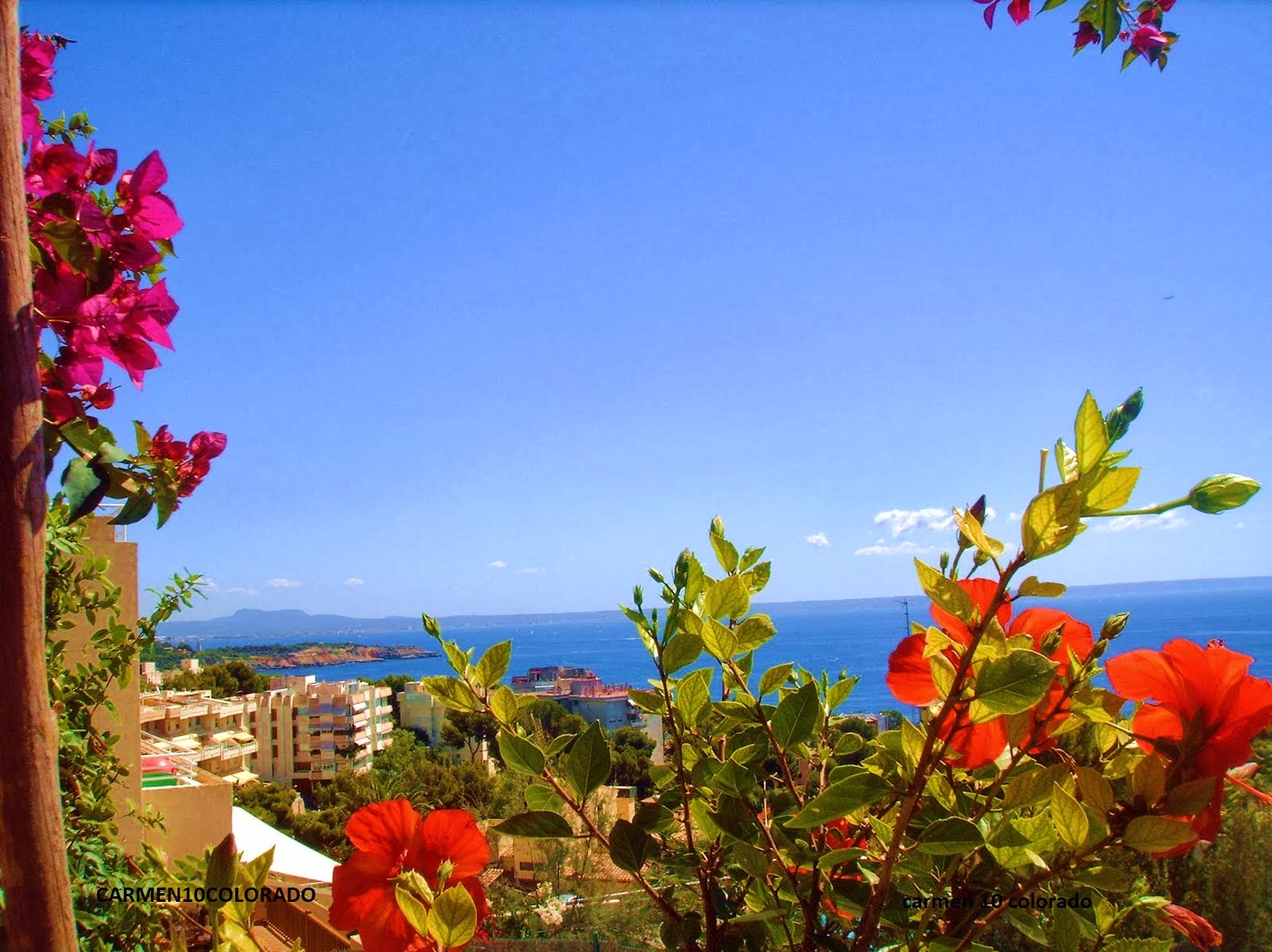 MALLORCA ISLA BONITA -  LADY HAGUA