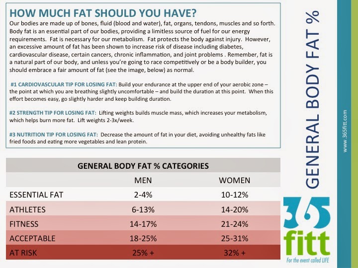 365fitt How Much Fat Should You Have?