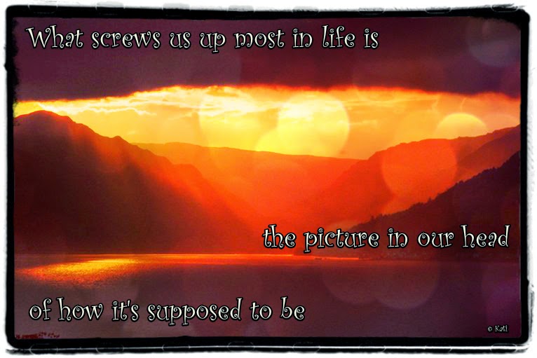 Kati S Krabbels Fighting Your Own Battle And Comparing Your Life