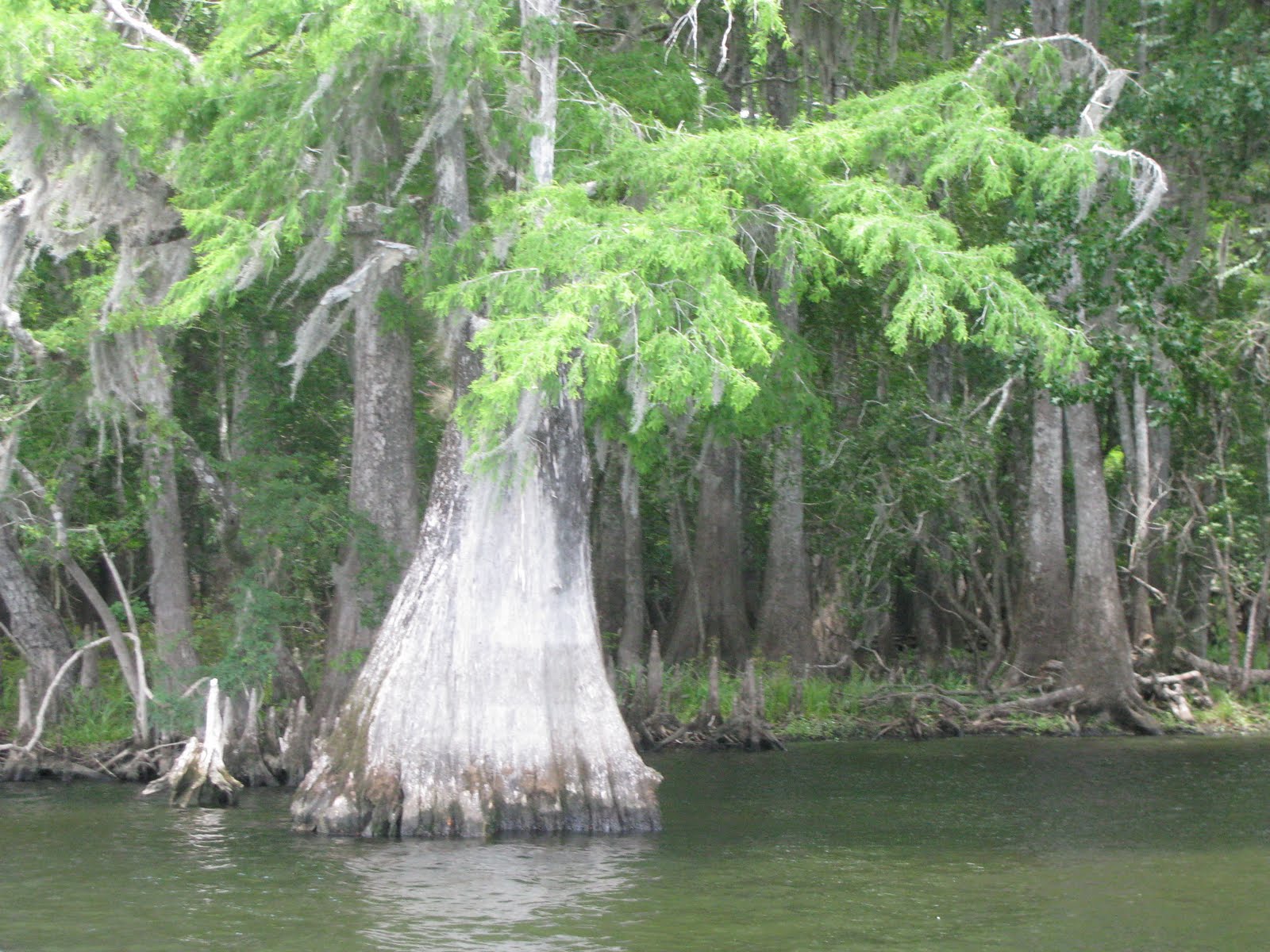 Paul & Joyce, Exploring our Country Chiggers, What Are Chiggers?