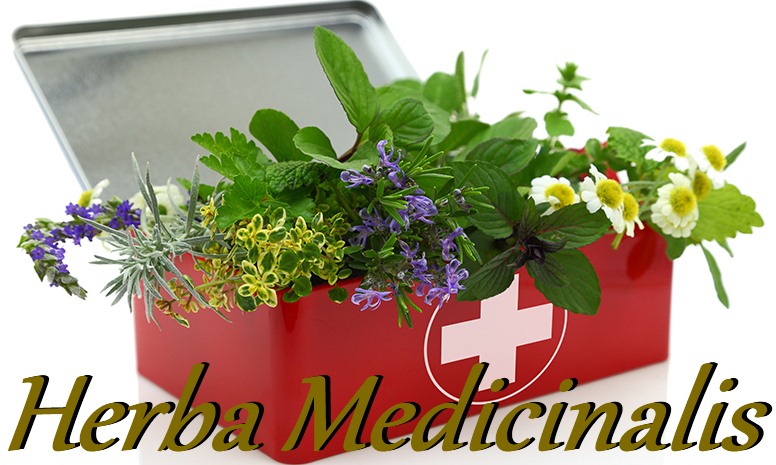 herba medicinalis