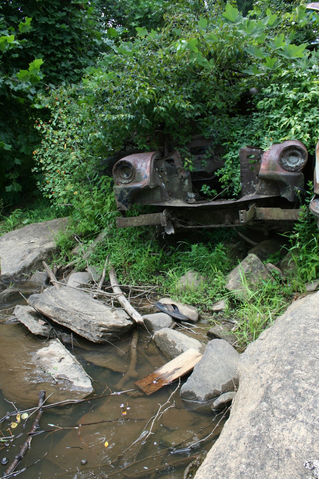 The Carpetbagger Automotive Riverbank Preservation