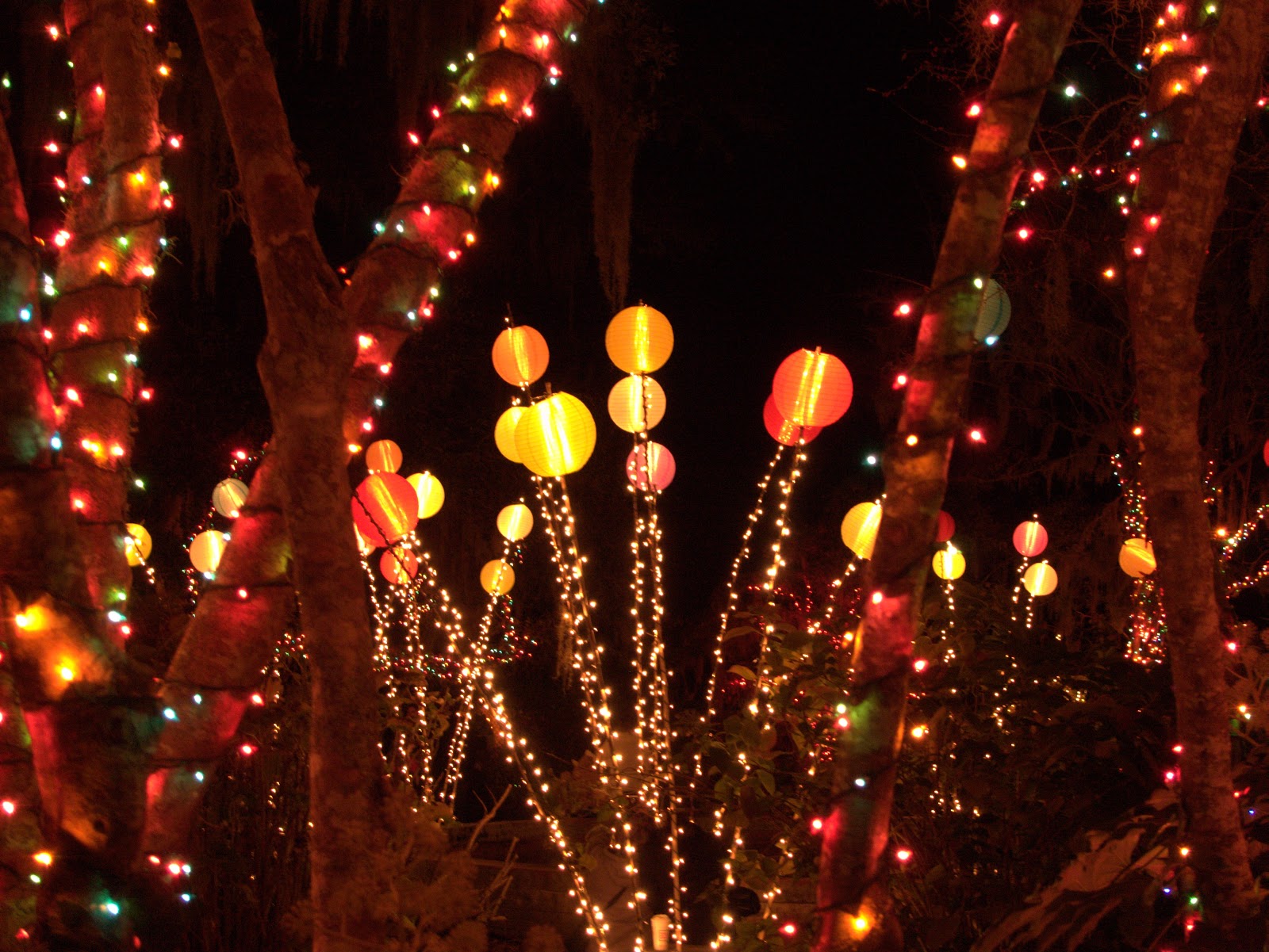 The Creative Salad Night of A Thousand Candles