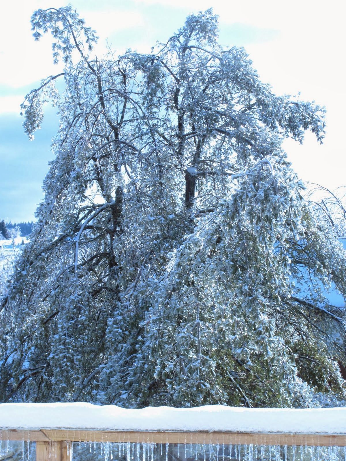 Ice Storm December 2013