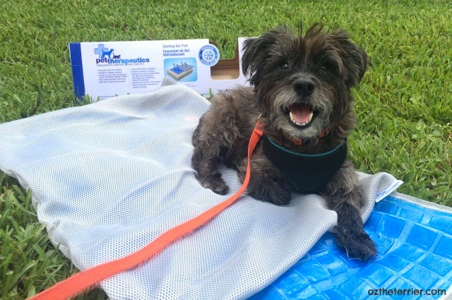 TheraCool Cooling Gel Pad for pets provides relief from aches and pains