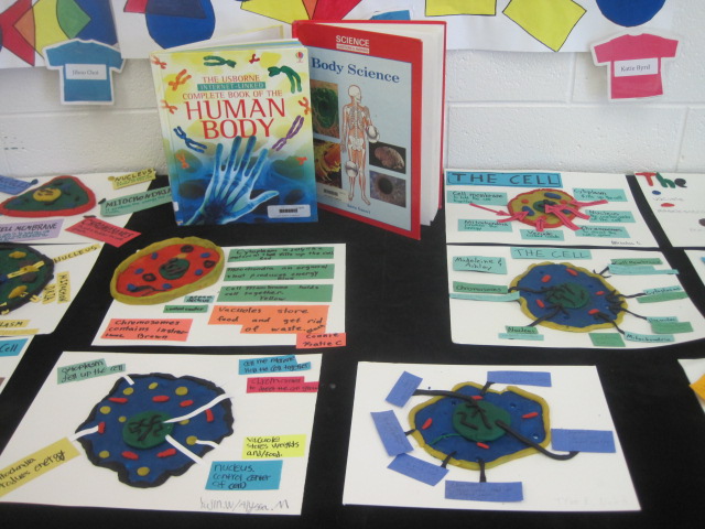 animal cell project poster