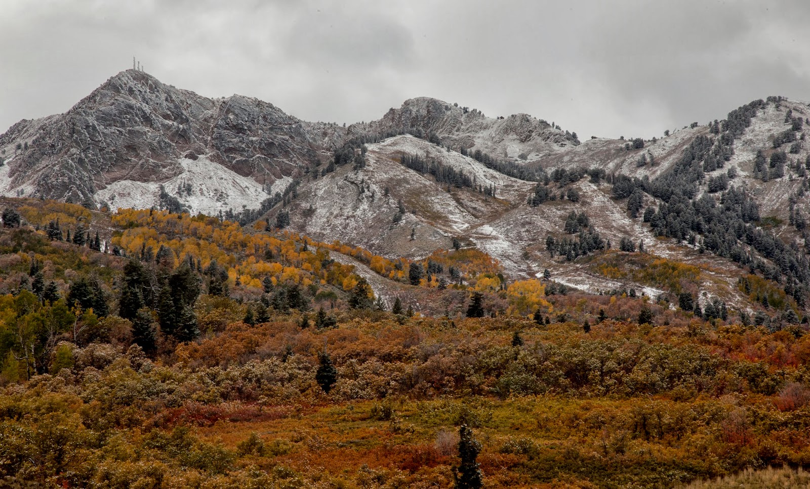 Benjamin Zack Photography October Snow