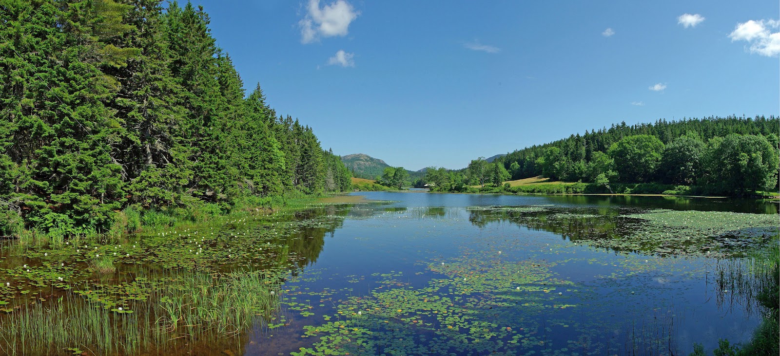 Hiking in Maine with Kelley 7/3/12 Little Long Pond