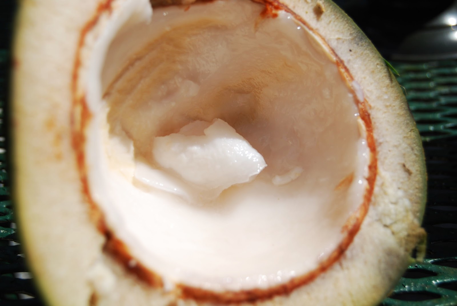 Helen A. Lockey Green Coconut Water South Florida Style