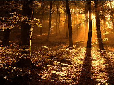 cool wallpapers images photos download