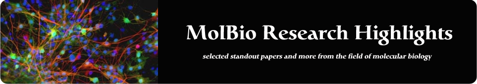 MolBio Research Highlights