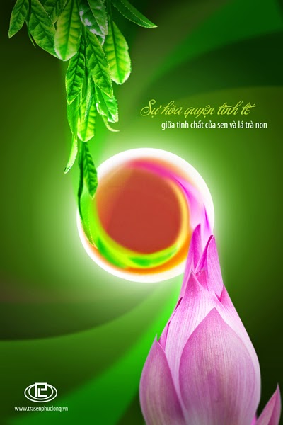 Dịch vụ in poster quảng cáo - 2