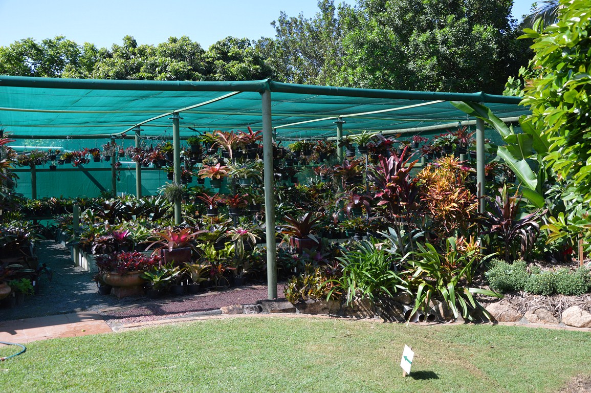 SubTropical Queensland Open Garden: Garden News March 2013