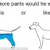 Ιδού το ερώτημα: πώς θα φορέσει ο σκύλος ένα παντελόνι; 
