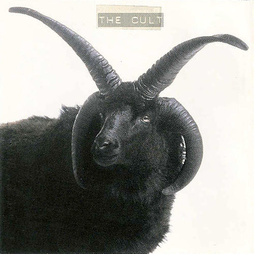 ¿Qué estáis escuchando ahora? The+Cult+-+cabra