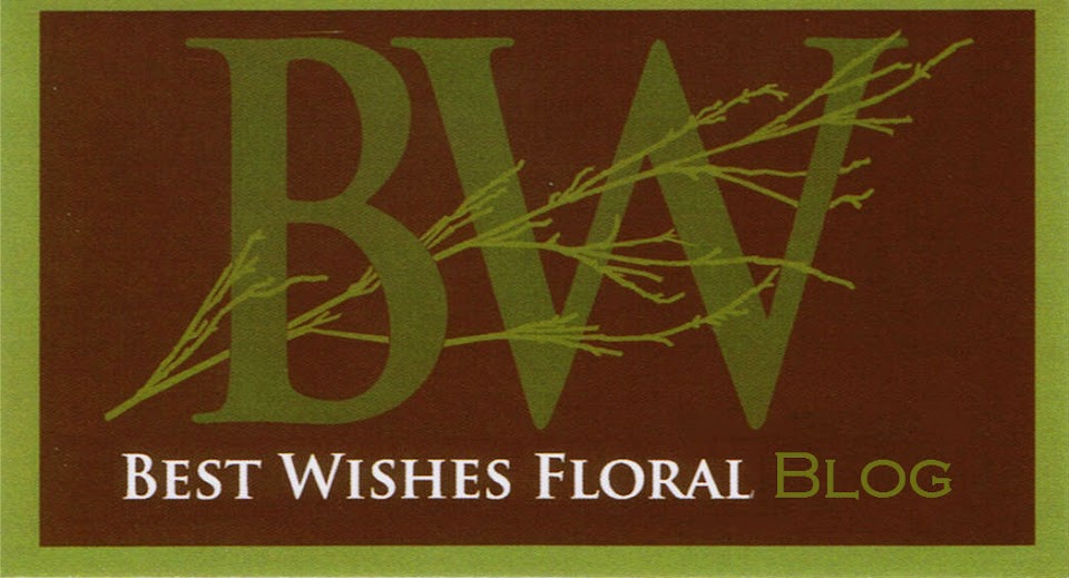 Best Wishes Floral