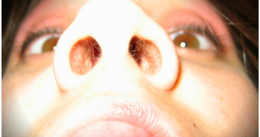 Here comes a new challenger ♥ Fatiguée (poil au nez)