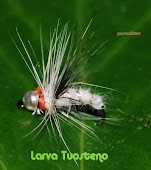 Larva Blanca